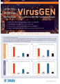 AAV LV 생산용 transfection 시약